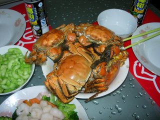2007-11-shanghai-crabes-1